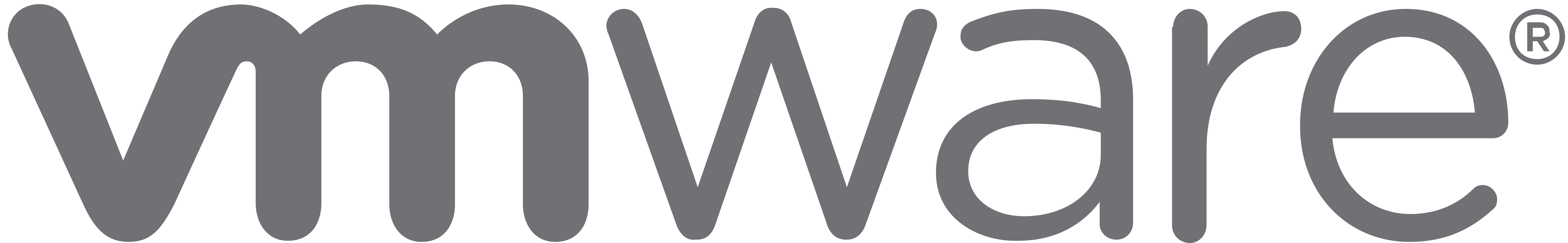 VMware